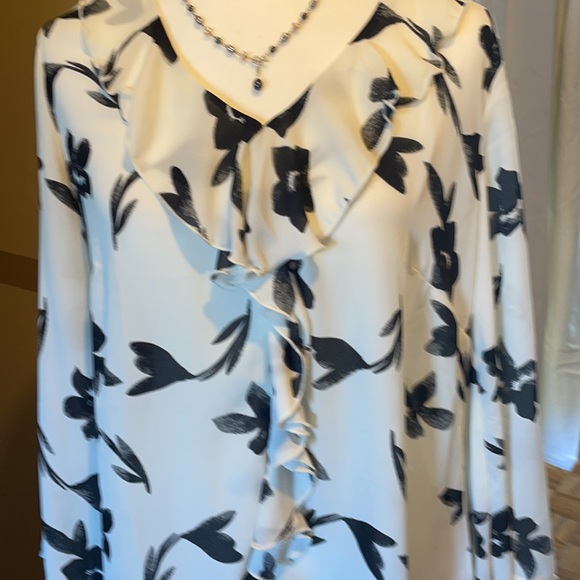Nwot, Beautiful ruffle front blouse. - Picture 2 of 9